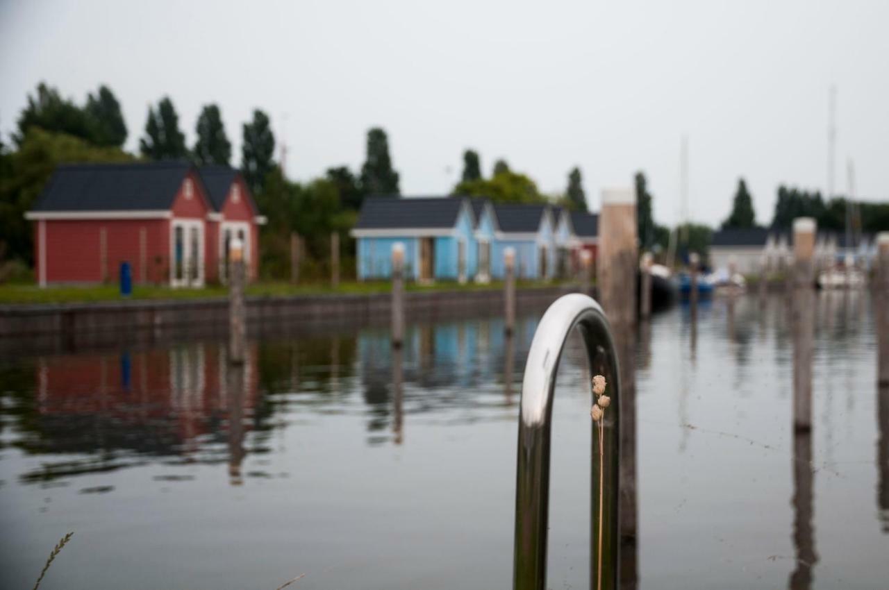Heerlijk Huis Aan Het Ijsselmeer ستافورين المظهر الخارجي الصورة