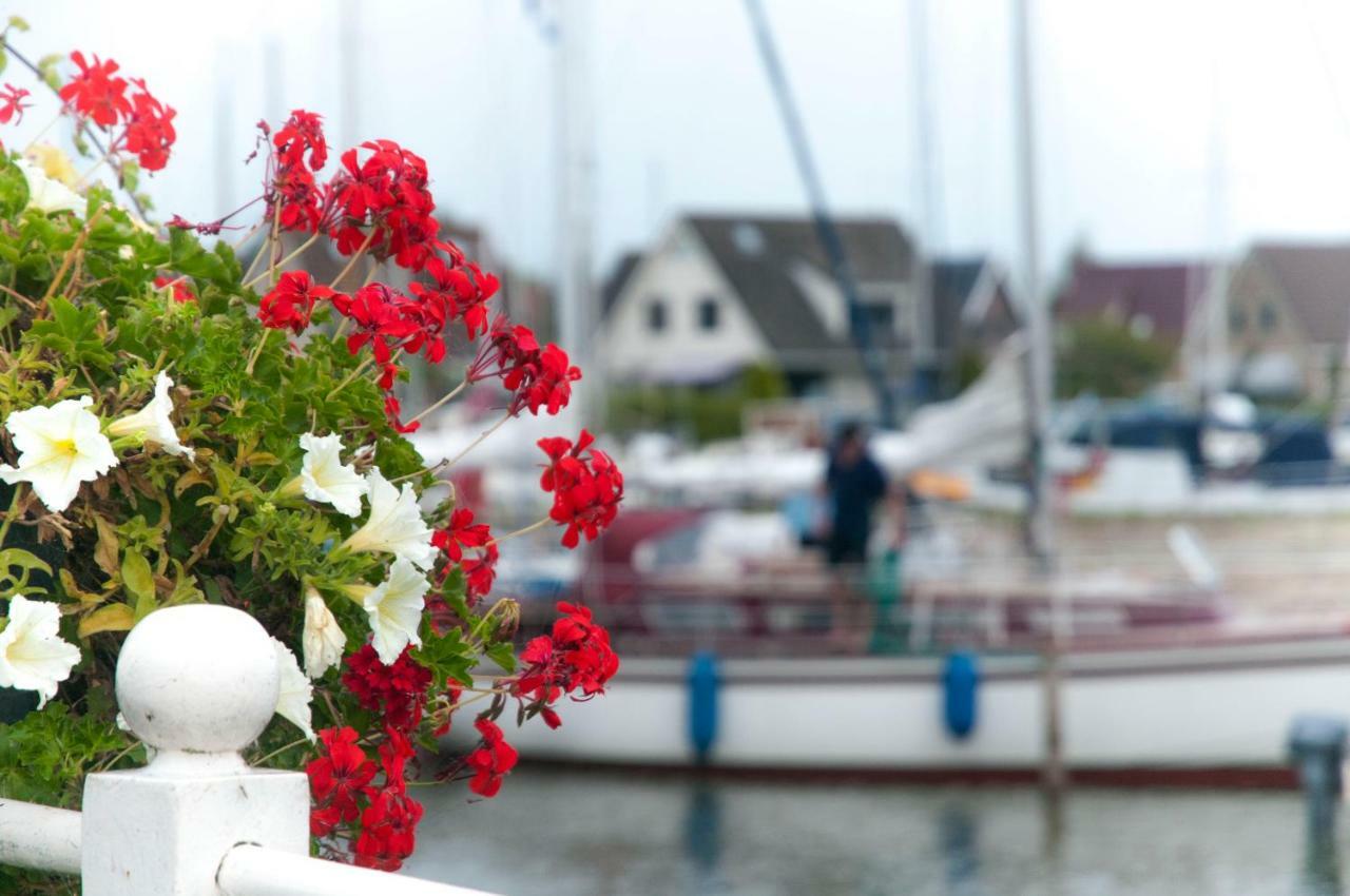 Heerlijk Huis Aan Het Ijsselmeer ستافورين المظهر الخارجي الصورة