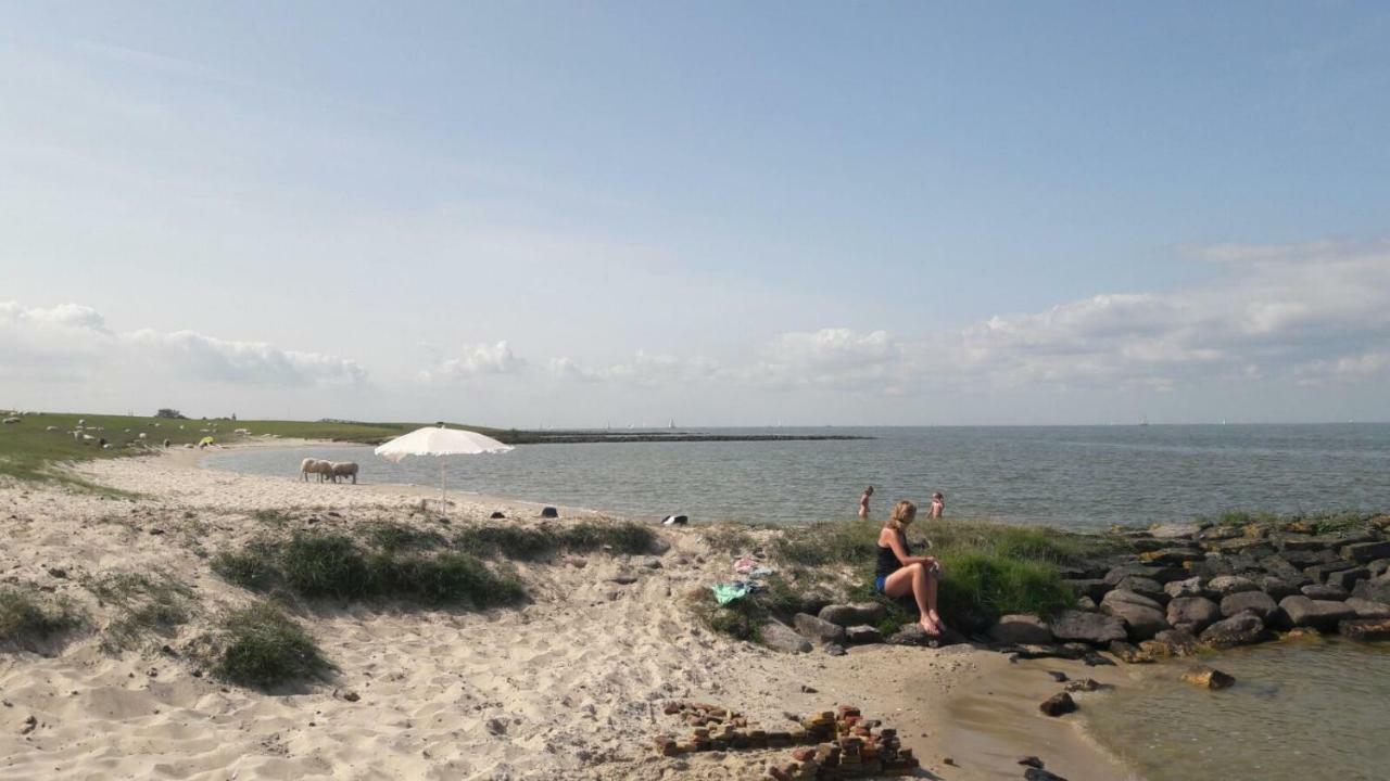 Heerlijk Huis Aan Het Ijsselmeer ستافورين المظهر الخارجي الصورة