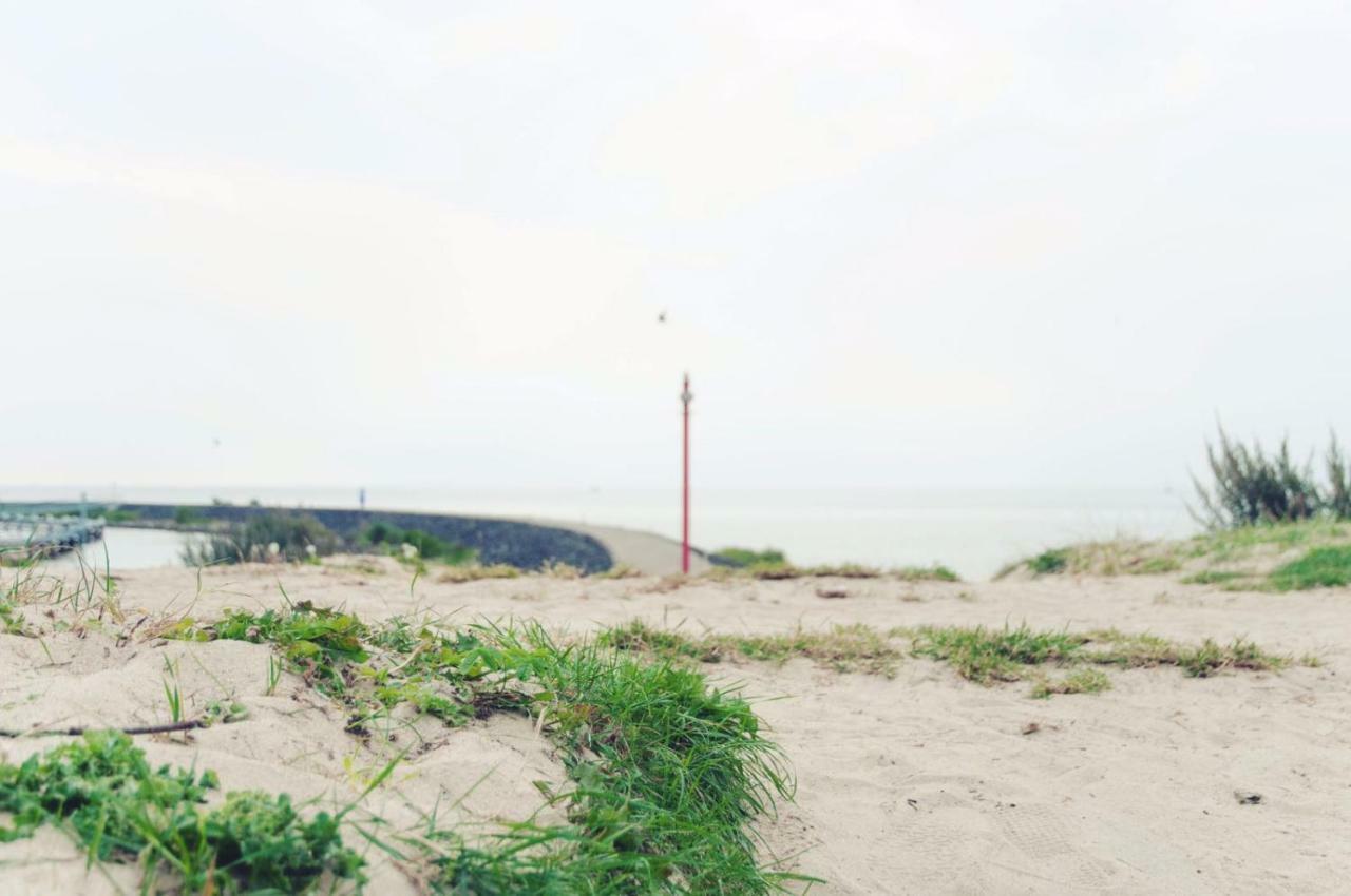 Heerlijk Huis Aan Het Ijsselmeer ستافورين المظهر الخارجي الصورة