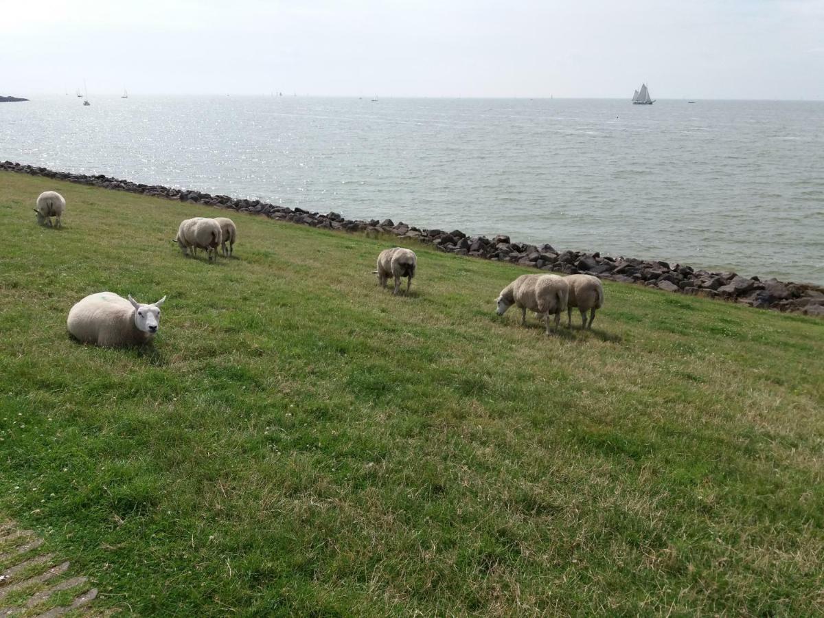 Heerlijk Huis Aan Het Ijsselmeer ستافورين المظهر الخارجي الصورة