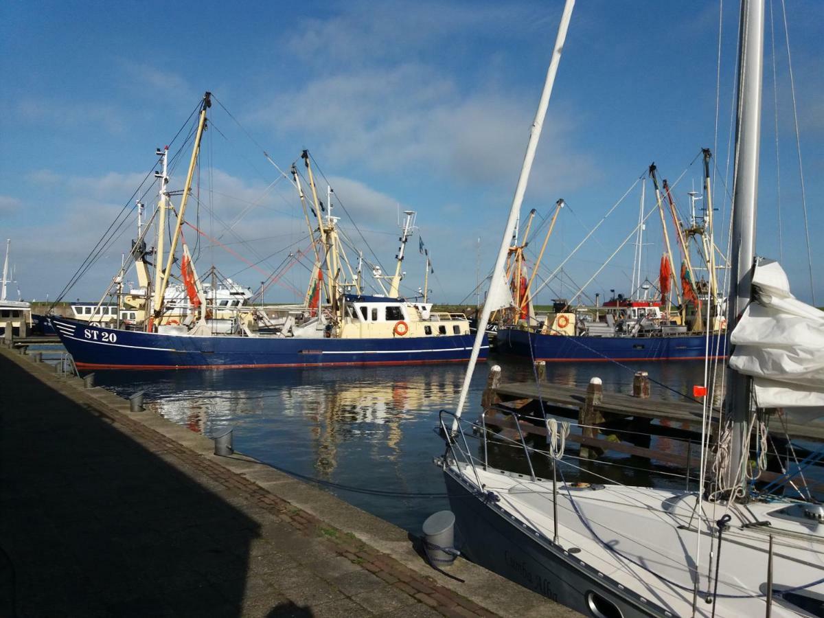 Heerlijk Huis Aan Het Ijsselmeer ستافورين المظهر الخارجي الصورة