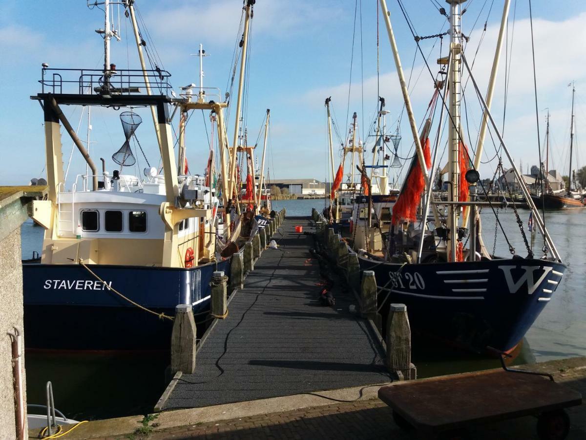 Heerlijk Huis Aan Het Ijsselmeer ستافورين المظهر الخارجي الصورة